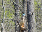 IMG 4535